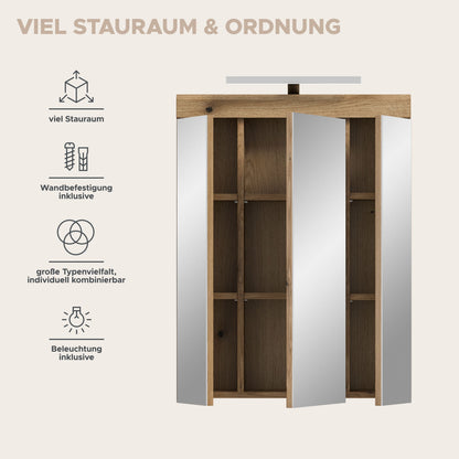 Armoire de toilette avec éclairage SCOUT (L/H/P : env. 60/79/18 cm) en imitation chêne Evoak/verre miroir